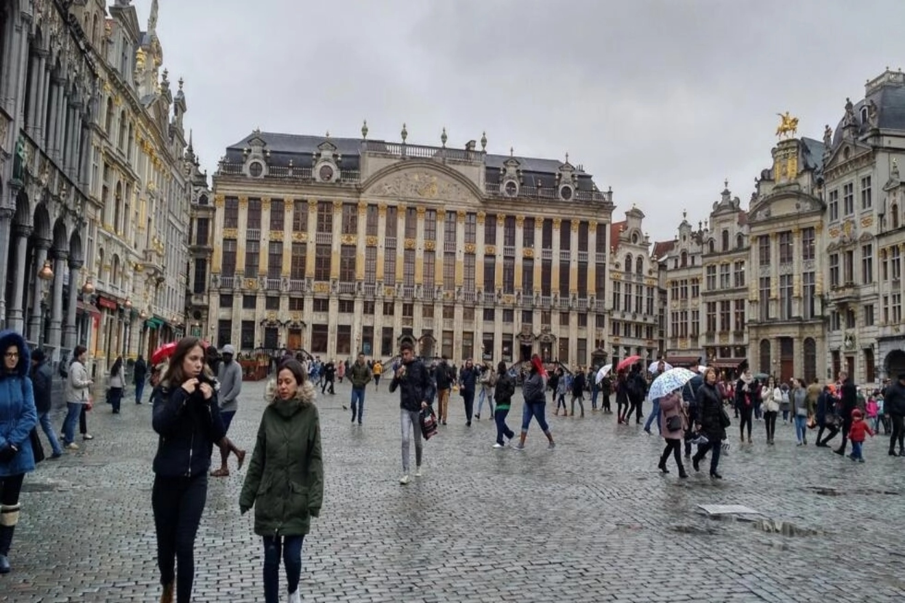 bruselas