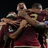 vinotinto (1)
