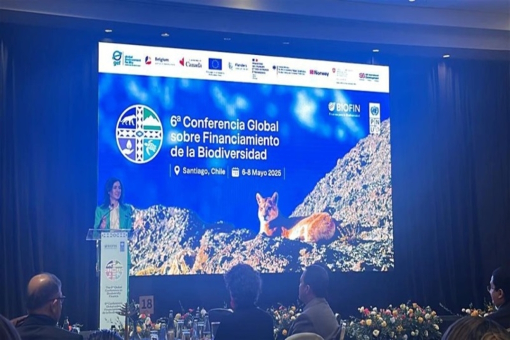 Biodiversidad