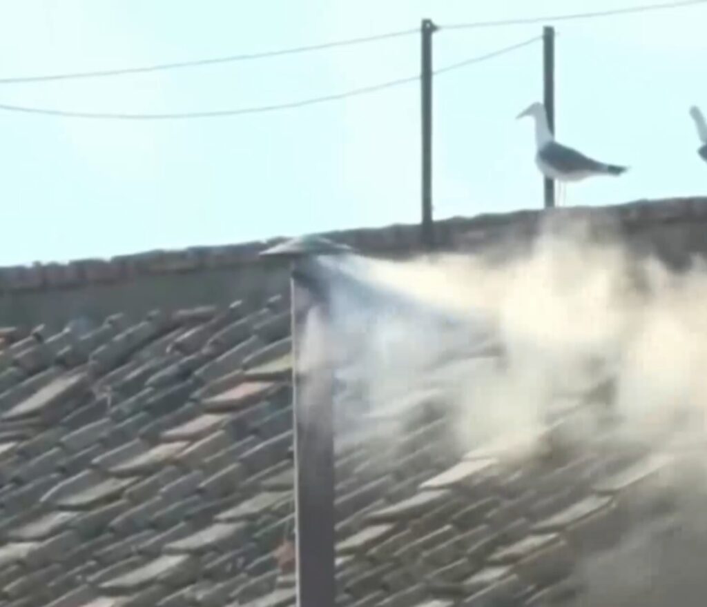 Humo blanco: el cónclave elige al nuevo papa