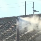 Humo Blanco