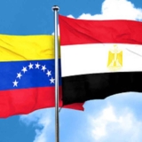 Internacional Antifascista de El Cairo exige la libertad de Maikelys Espinoza