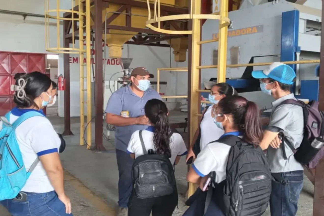 cereales apure