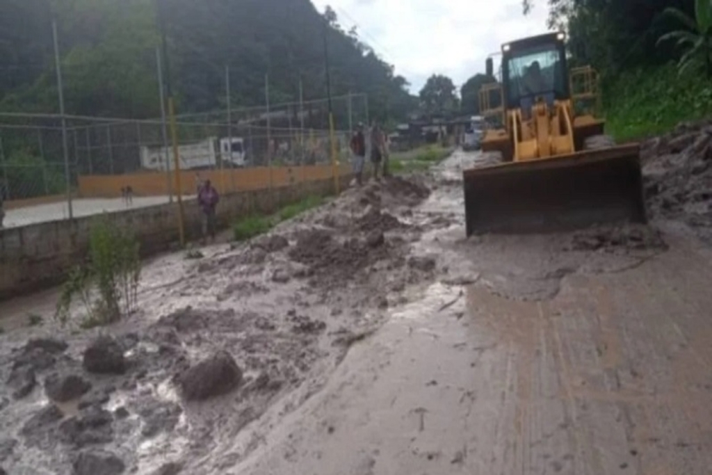 Tachira