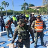 FANB y Cuerpos de Seguridad del Estado incautaron más de 3 toneladas de marihuana en Falcón