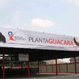 Planta Guacara