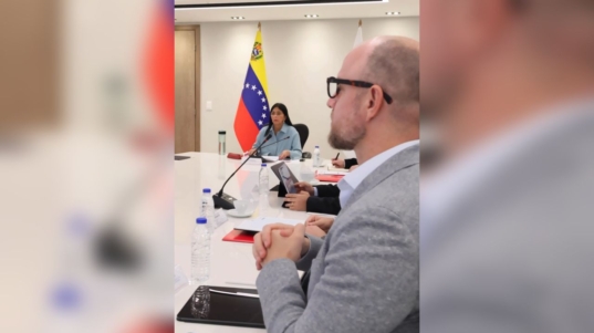 ministra-delcy-rodriguez-45725 (1)