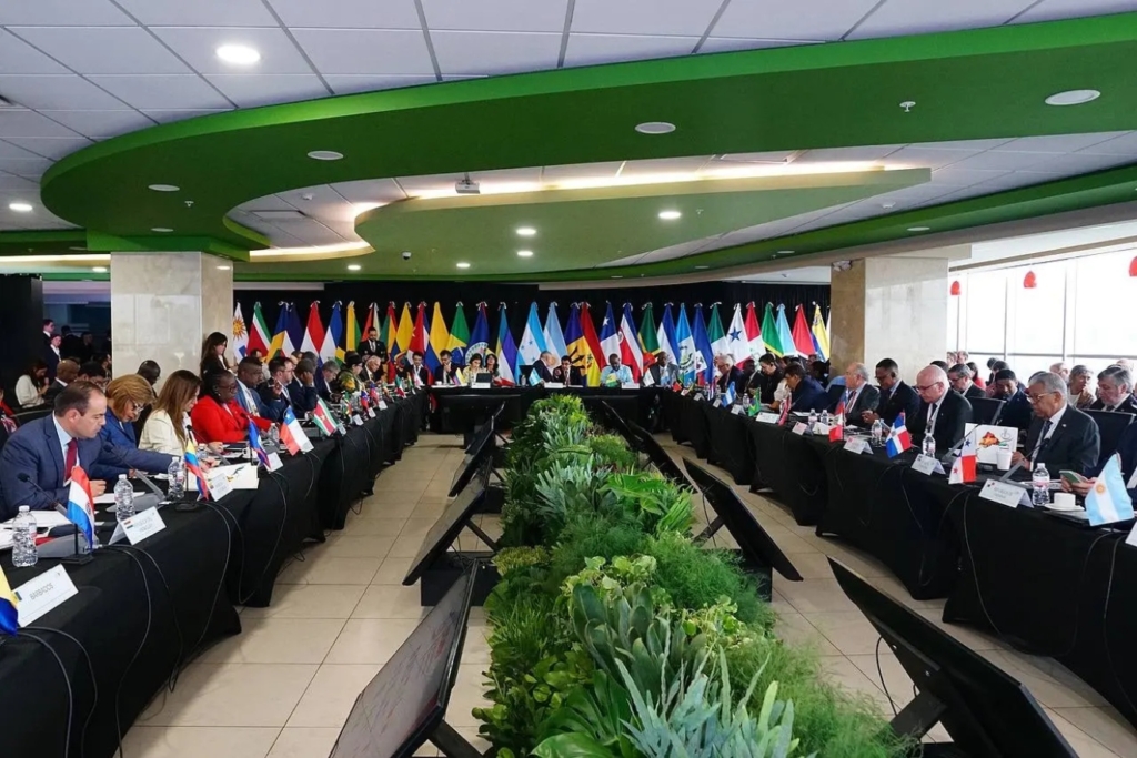 Imagen de Referencia