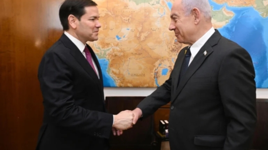 rubio