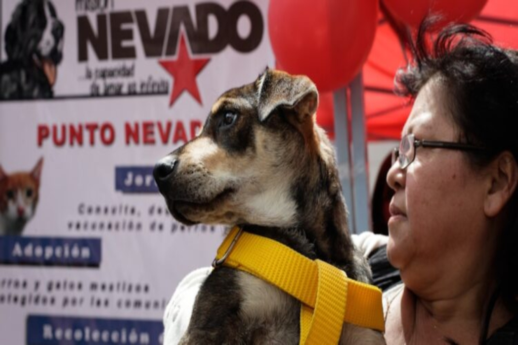 Fundacion-Mision-Nevado.-Foto-de-archivo.-750x375
