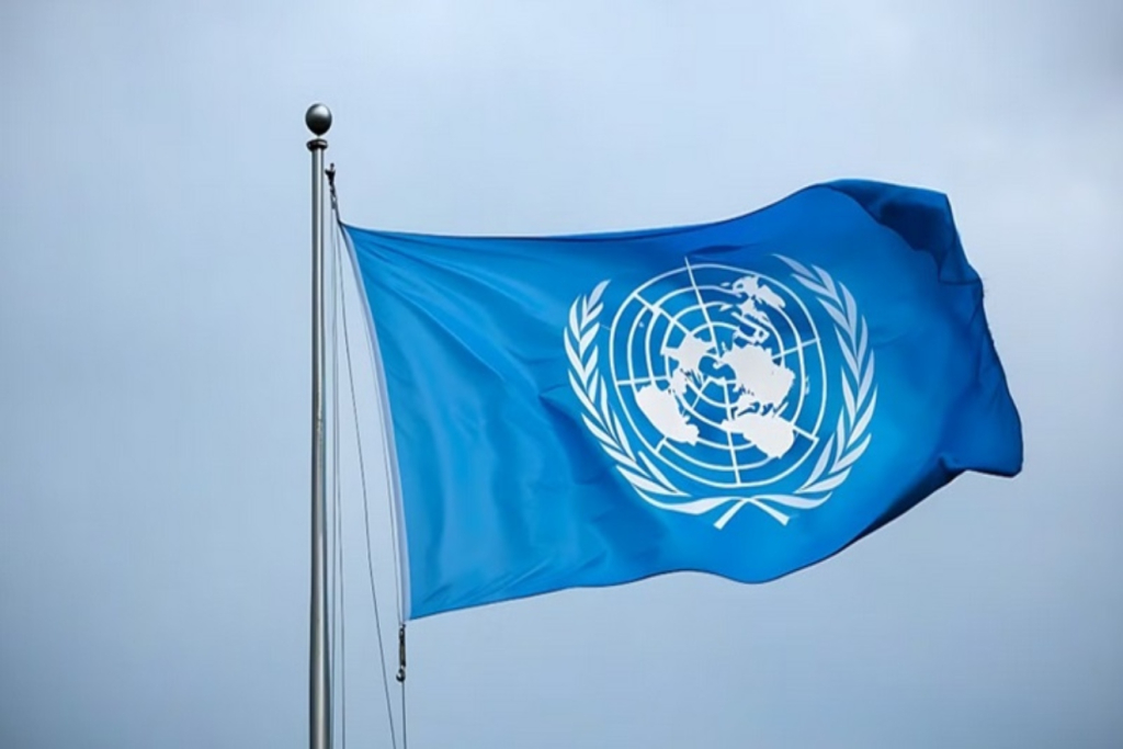 ONU (3)