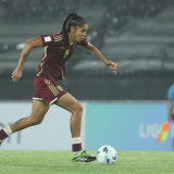 Vinotinto-3