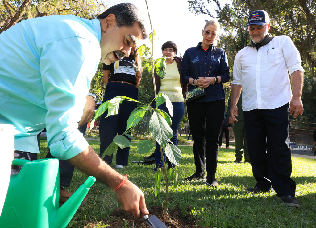 15_ZC__0648_P-e1766181005944