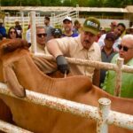 Inicia en el Zulia segundo ciclo de vacunación antiaftosa con 83 mil dosis