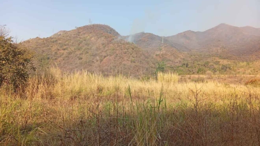 Controlado nuevo incendio en el Parque Nacional Henri Pittier