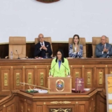 Presidenta Encargada Delcy Rodríguez