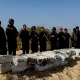 Cuerpos de Seguridad del Estado incautaron más de 2 mil 800 kilos de marihuana en el Zulia