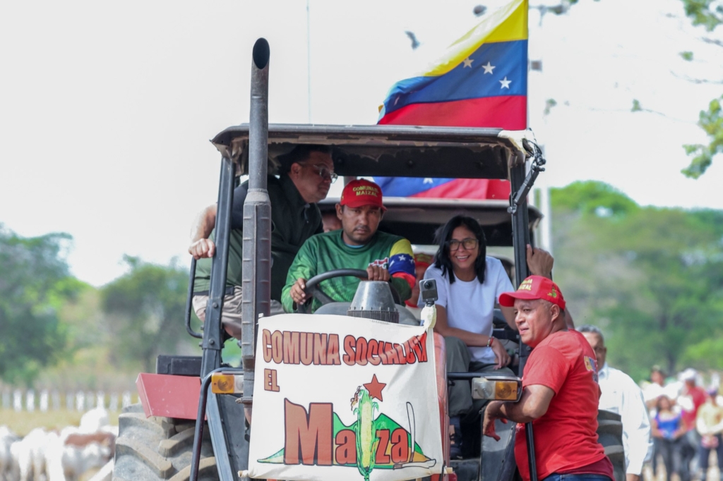 photo_4997149893365271482_w