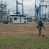 Apure (5)