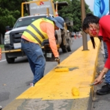 Aragua (15)