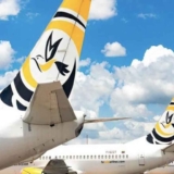 Turpial Airlines