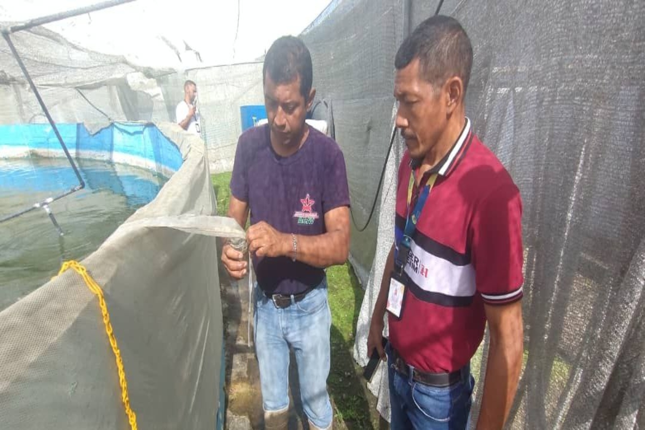 Investigadores (2)