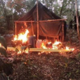 Amazonas (2)