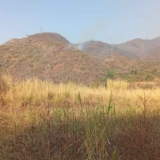Controlado nuevo incendio en el Parque Nacional Henri Pittier 