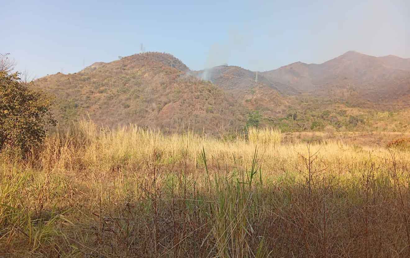 Controlado nuevo incendio en el Parque Nacional Henri Pittier 