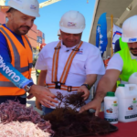 Venezuela impulsa exportaciones de productos del mar hacia Japón y Chile desde El Guamache