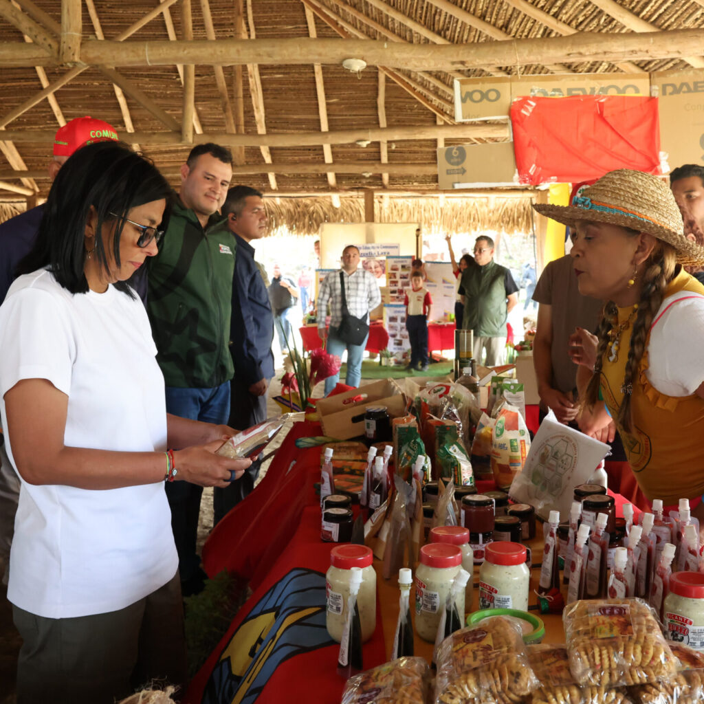 Ejecutivo Nacional ordena transferencia inmediata de recursos para la industrialización de las comunas