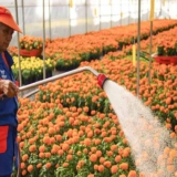 Sheinbaum publica reforma que reduce jornada laboral copia