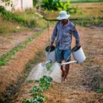 Plan Siembra Comunal 2026 impulsa agricultura local de Guárico